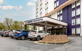 Comfort Inn & Suites Alexandria